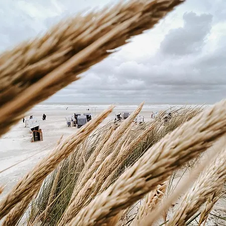 Apartment Nordstrandperle Ap E4 *