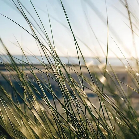 Nordstrandperle Ap E4 Apartment Norderney